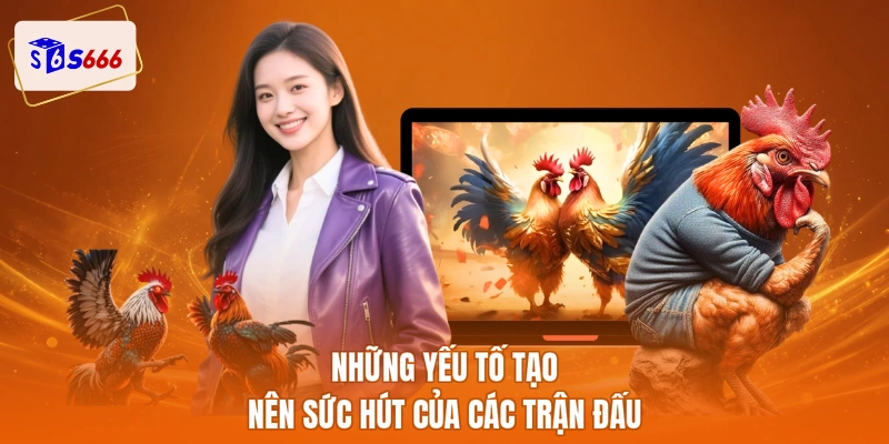 Những yếu tố tạo nên sức hút của các trận đấu